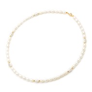 ΚΟΛΙΕ Κ14 ΜΑΡΓΑΡΙΤΑΡΙΑ - 12546 ΚΟΛΙΕ Κ14 ΜΑΡΓΑΡΙΤΑΡΙΑ - 12546