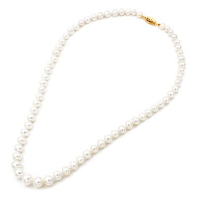 ΚΟΛΙΕ Κ14 ΜΑΡΓΑΡΙΤΑΡΙΑ - 12555 ΚΟΛΙΕ Κ14 ΜΑΡΓΑΡΙΤΑΡΙΑ - 12555